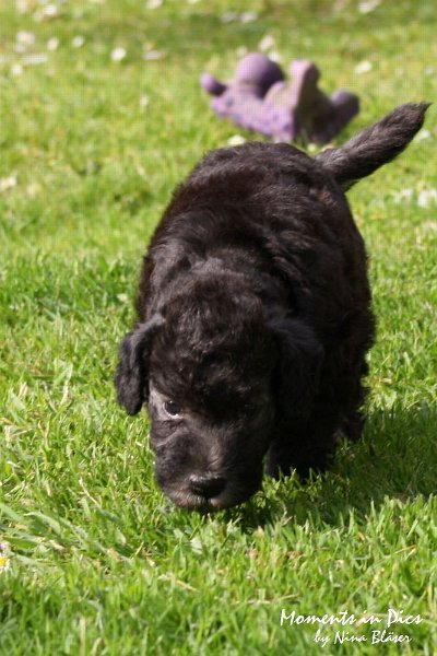 Arc-en-ciel Antares 2009-06-17 (15).JPG